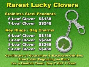 Rare lucky clover - 6-leaf, 7-leaf, 8-leaf, 9-leaf